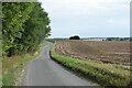 Hedge, road and field