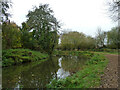 River Wey