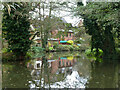 Houses by River Wey