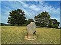 SK2570 : Millennium Stone in Chatsworth Park by Graham Hogg
