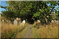 Churchyard, Blackawton