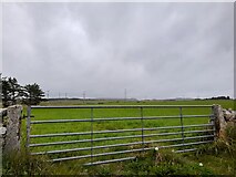 NC9866 : Field Entrance near Upper Dounreay by David Bremner