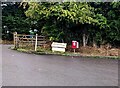 Yellow and red, Llanishen, Monmouthshire