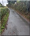 Steep hedge-lined road, Llanishen, Monmouthshire