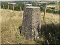 Birshaw Trig Point Flush Bracket S2772