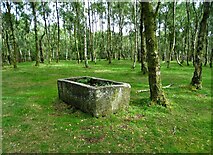 SK2479 : Stone trough in the woods by Neil Theasby