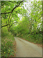 Lane to Reddacleave Kiln Cross