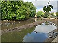 Drained pond at Water Mill Dam