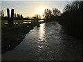 SK4934 : The river Erewash in flood by David Lally