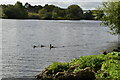 Manchester Ship Canal