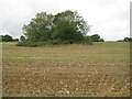 Old marl pit near Great Ryburgh