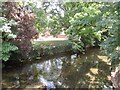 River Avon, Salisbury