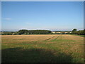 TF9438 : Stubble field near Wighton by Jonathan Thacker