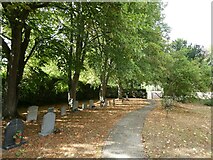 SU4885 : All Saints' Churchyard, Chilton: early September 2022 by Basher Eyre