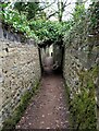 Footpath across the former Bankfield Estate