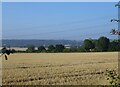 Stubble field off London Road (A113)