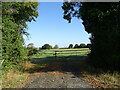 Field entrance off the A414