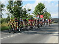 Riders in the Tour of Britain cycle race 2022