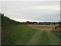 Stubble field and the edge of Warham