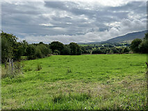 G1605 : Irish green field by Neville Goodman