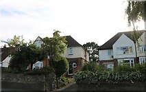 TQ7654 : Houses on Loose Road, Maidstone by David Howard