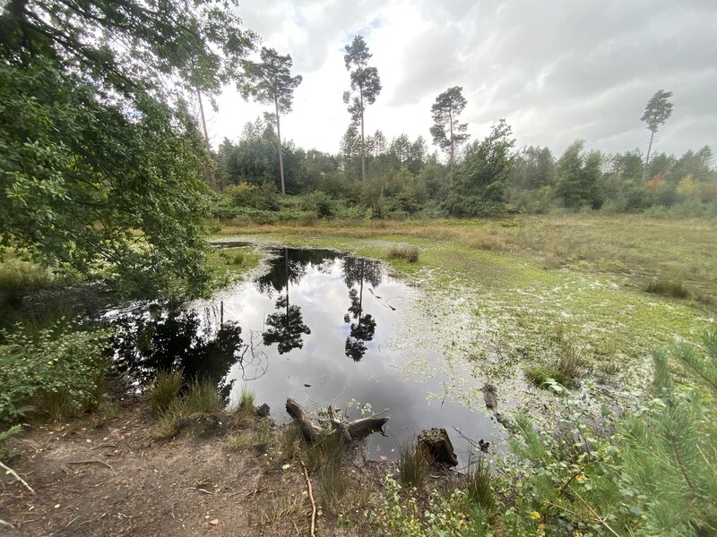 Black Lake, Delamere Forest © John H Darch :: Geograph Britain And Ireland