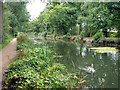 Basingstoke Canal