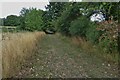 Footpath coming into Rushden