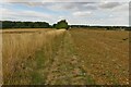 Footpath over the fields to Rushden