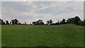 A field seen from Marton Road, Gargrave