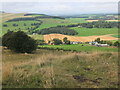 Westwards from Bizzyberry Hill