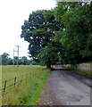 Mark House Lane, Gargrave