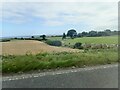 Farmland between the A2 and the sea at George