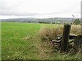 Field, Affetside