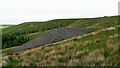 Coal Pit Spoil Heap near Knowsley Clough