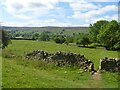 A circular walk from Reeth via Fremington Edge [14]