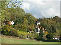 SO5834 : Houses on Common Hill by David M Clark