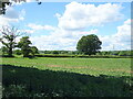 SU6663 : Crop field off Mortimer Lane by JThomas