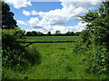 Field entrance off Mortimer Lane, Fair Oak Green