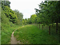 Bridleway 3421 towards Toat Lane