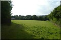 Field near Bridge Barn