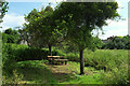 Picnic table near Tenbury Wells