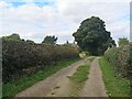 Path approaching Burnt Leys Farm