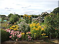 Southwick allotments