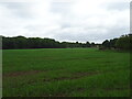 Farmland off Parish Lane