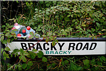 H5373 : Debris along Bracky Road by Kenneth  Allen