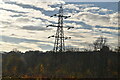 Pylon, Old Park Wood