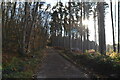 Track, Old Park Wood