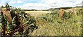 Gateway to field opposite Castle Rigg View