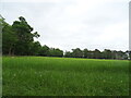 Grassland off Grove Road